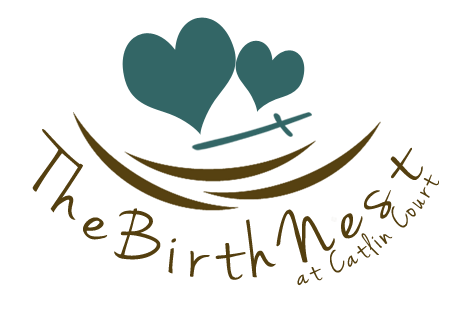 The Birth Nest of Arizona